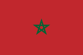 Article : Que faut-il savoir sur le vote contesté de la Guinée contre le Maroc ?